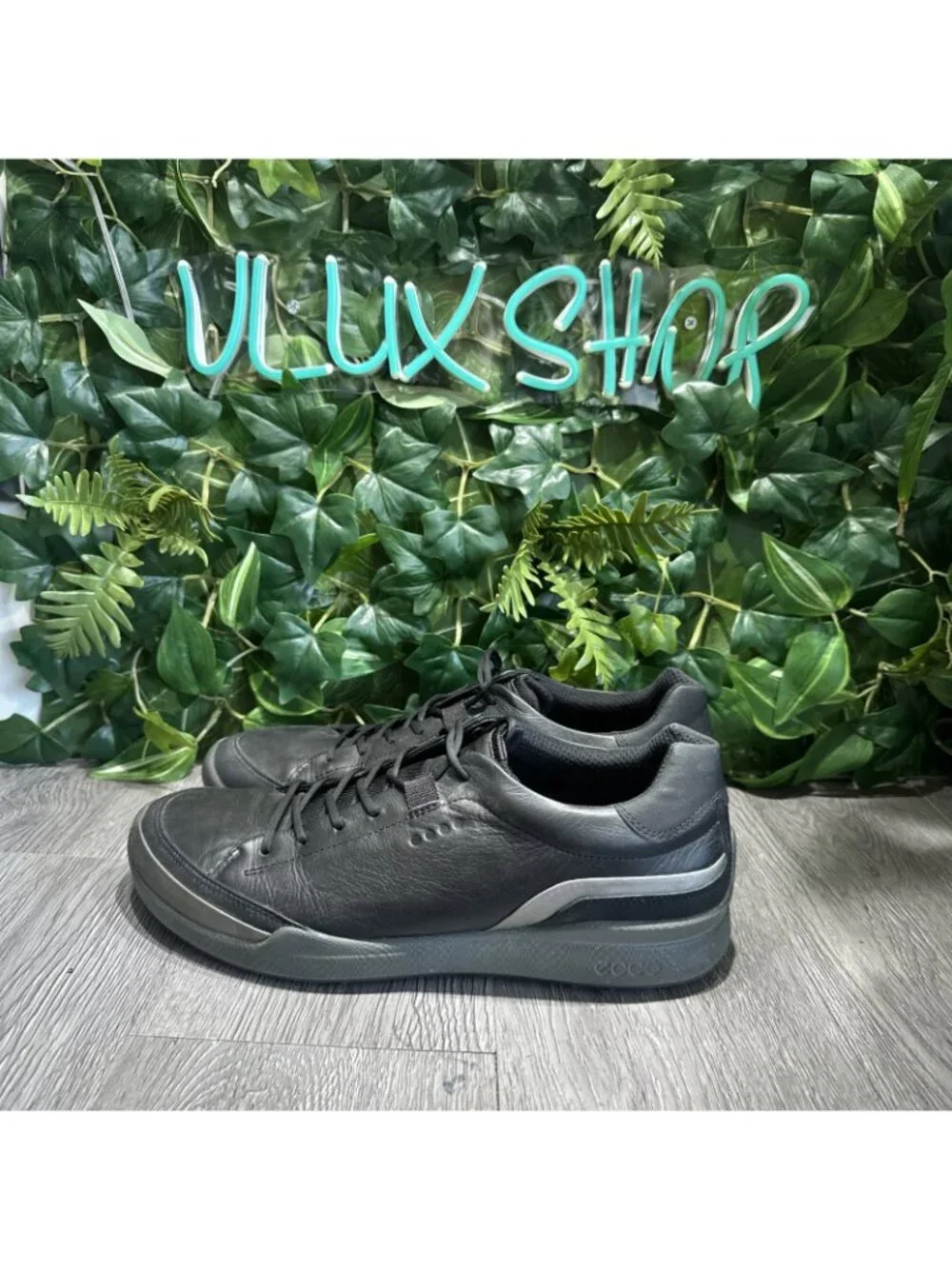 Ecco please check